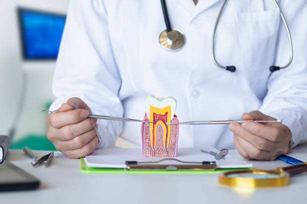 Best Pediatric Emergency Dentist in Beaverton, MI